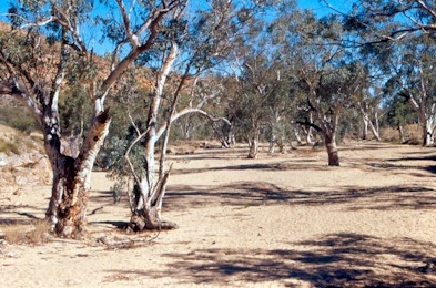 Birthday Creek