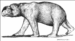 Diprotodon optatum