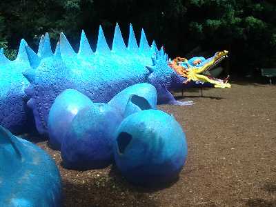 Dragon at Aukland Zoo