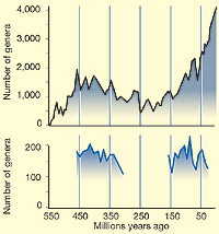 Graph of genera increase