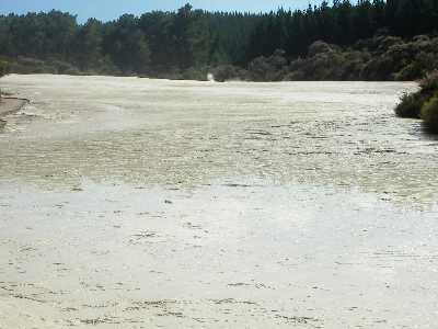 Sinter at Wai-O-Tapu thermal region 27 kilometres south of Rotorua